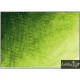 Olejová barva Bob Ross® Zelená světlá-soft 37ml